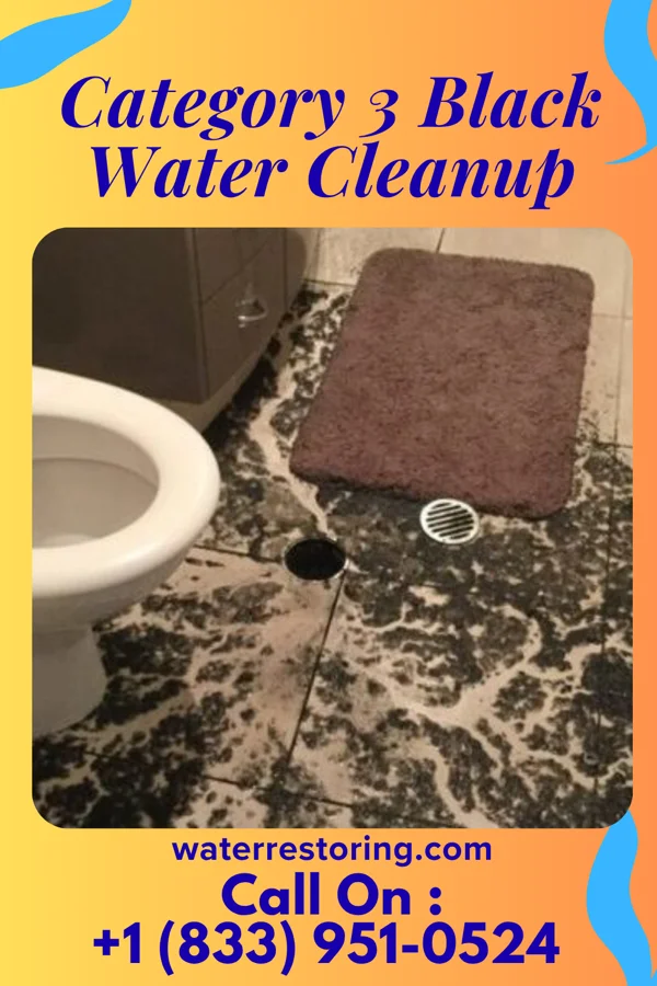 Category 3 Black Water Cleanup in Johnson City, NY