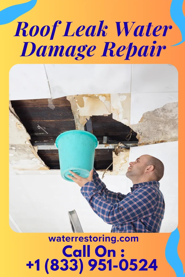Roof Leak Water Damage Repair in Johnson City, NY