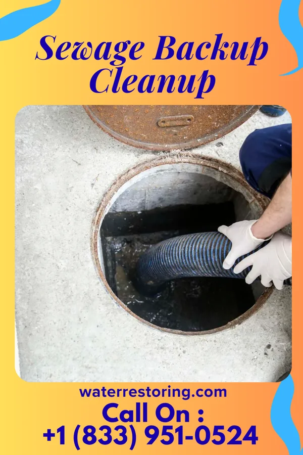 Sewage Backup Cleanup in Johnson City, NY