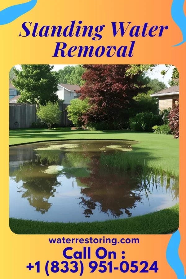 Standing Water Removal in Johnson City, NY